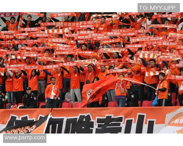 足球外围投注新规解读及其对球迷的影响分析